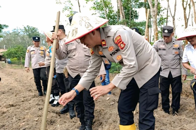 Gambar berita terkait Polres OKU Timur Siapkan 19 Ribu Hektare Tanaman Jagung untuk Mendukung Ketahanan Pangan