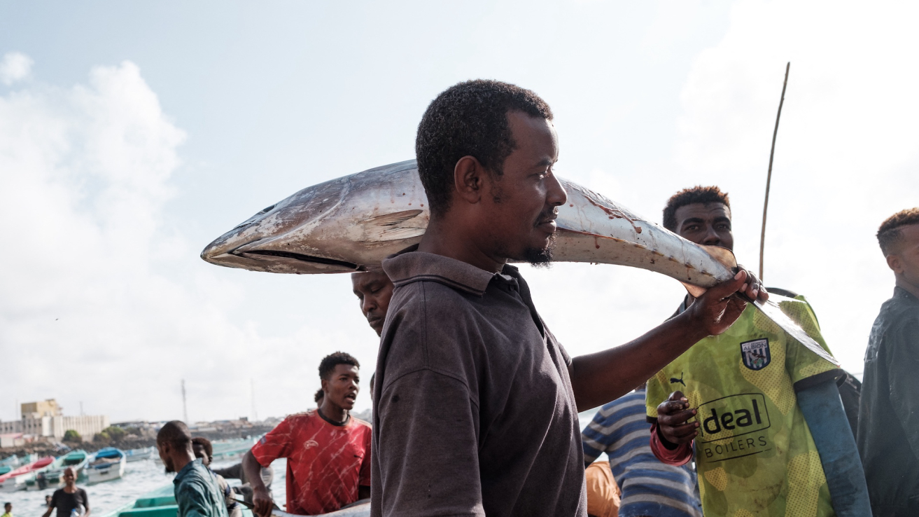 Berantas Penangkapan Ikan Ilegal, Somalia Harapkan Bantuan Indonesia
