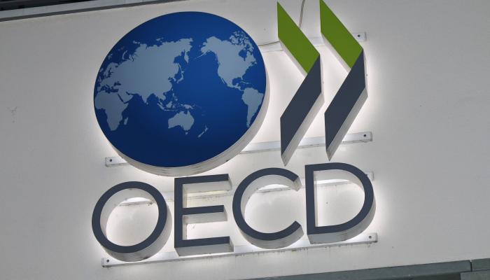 RI Tidak Nikmati Peningkatan PDB di OECD, Jika Lamban Sesuaikan Regulasi