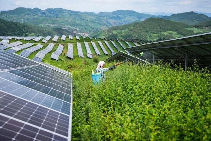 Tiongkok Dorong Pengembangan Energi Terbarukan Lewat Transisi Hijau
