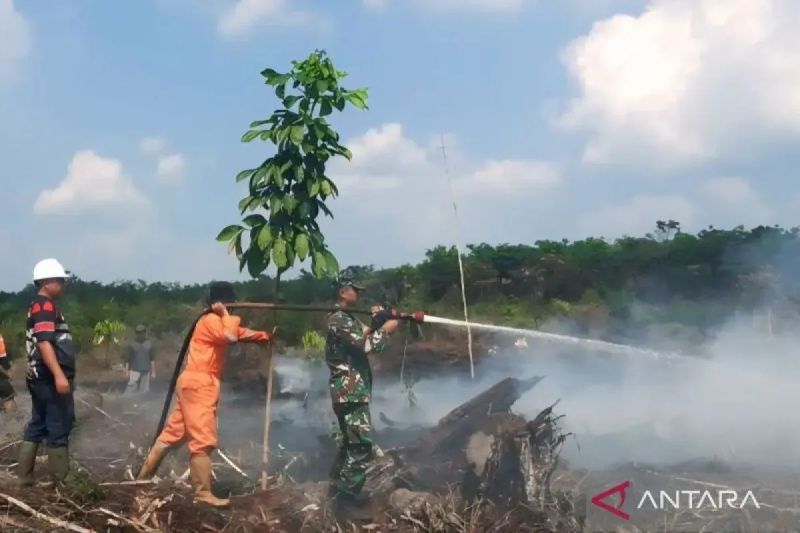 BPBD Muara Enim Terus Memadamkan Kebakaran Lahan 6 Hektare di Sungai Rotan, Muara Enim