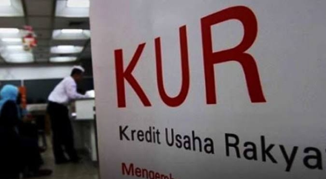 NTT Kebanjiran KUR! Dana Rp1,36 Triliun Digelontorkan di Semester I, Efektif Dorong UMKM?