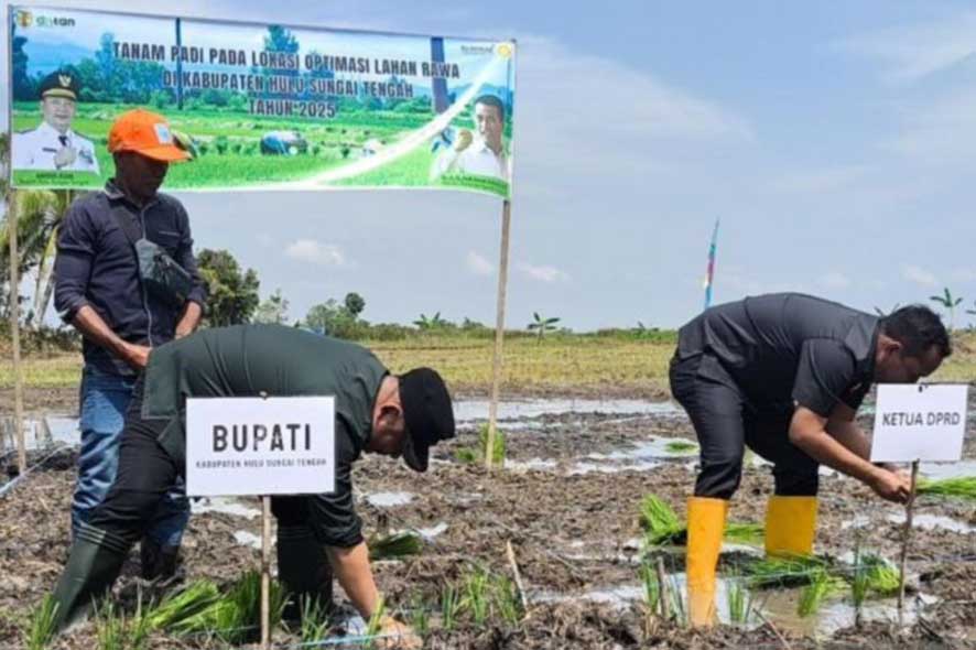 Optimasi Lahan Rawa di Desa Kayu Rabah