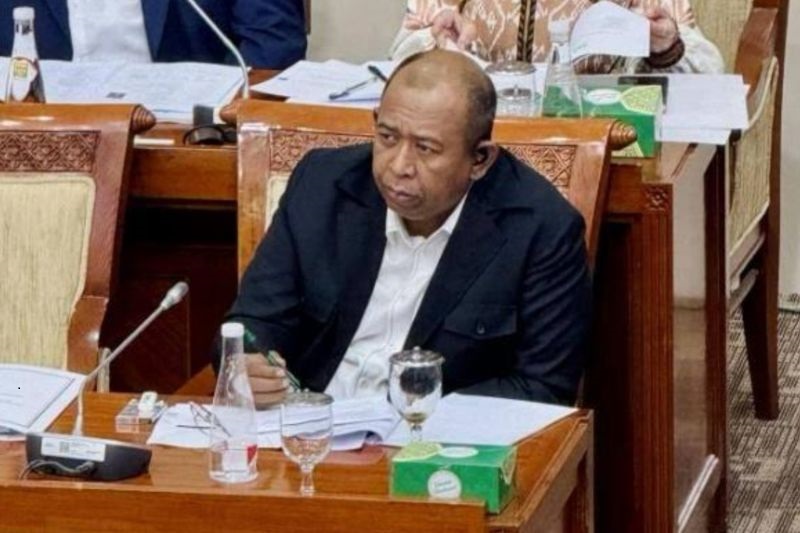 DPR: Budaya Pop 'One Piece' Tidak Boleh Ganggu Nilai Kebangsaan