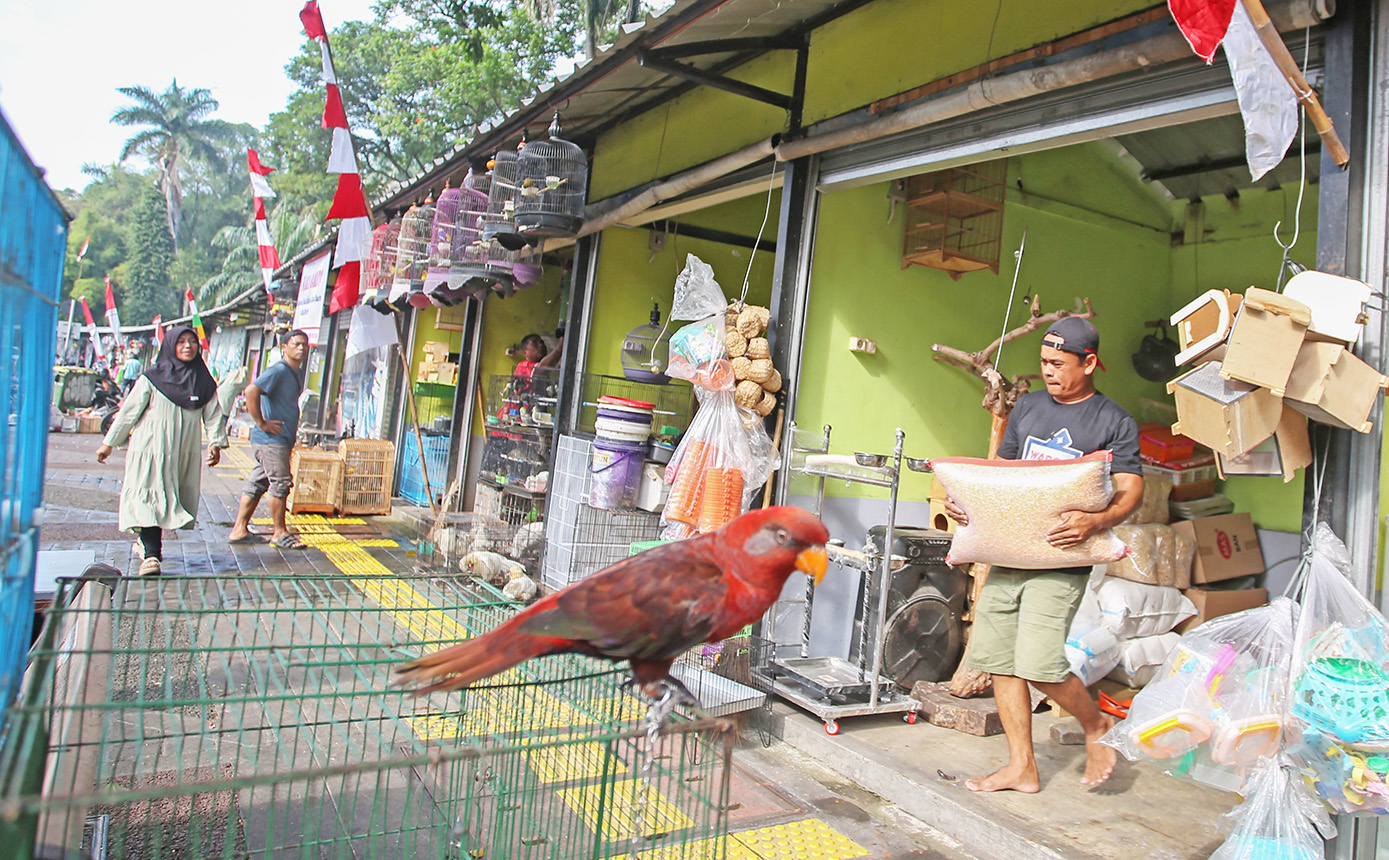 Gambar berita terkait Pedagang Pasar Barito Bisa Pilih Pasar