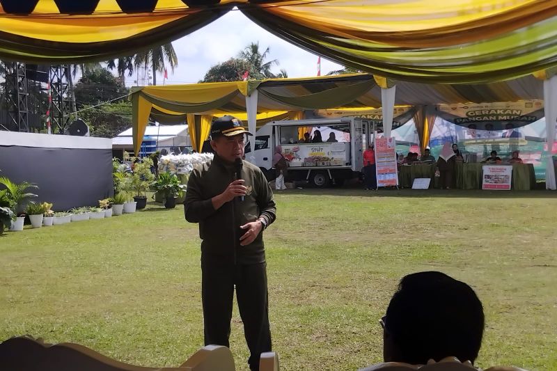 Gubernur Jambi Apresiasi Kolaborasi dalam Gerakan Pangan Murah