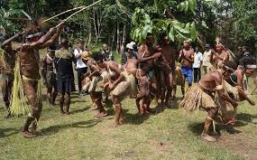 Papua Selatan Mengajak Semu...