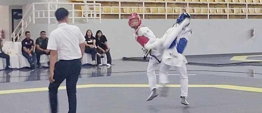 Taekwondo Bidik Dua Emas 