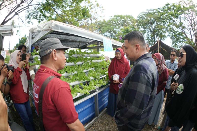 Wali Kota Makassar Mengatakan 6.000 RT Jadi Ujung Tombak Program Urban Farming