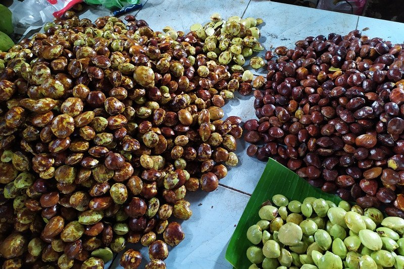 Jengkol Hampir Setara Daging Sapi! Harganya Tembus Rp120 Ribu per Kg