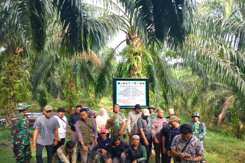 Cagar Alam Maninjau Disulap Jadi Perkebunan, Satgas PKH Ambil Tindakan Tegas