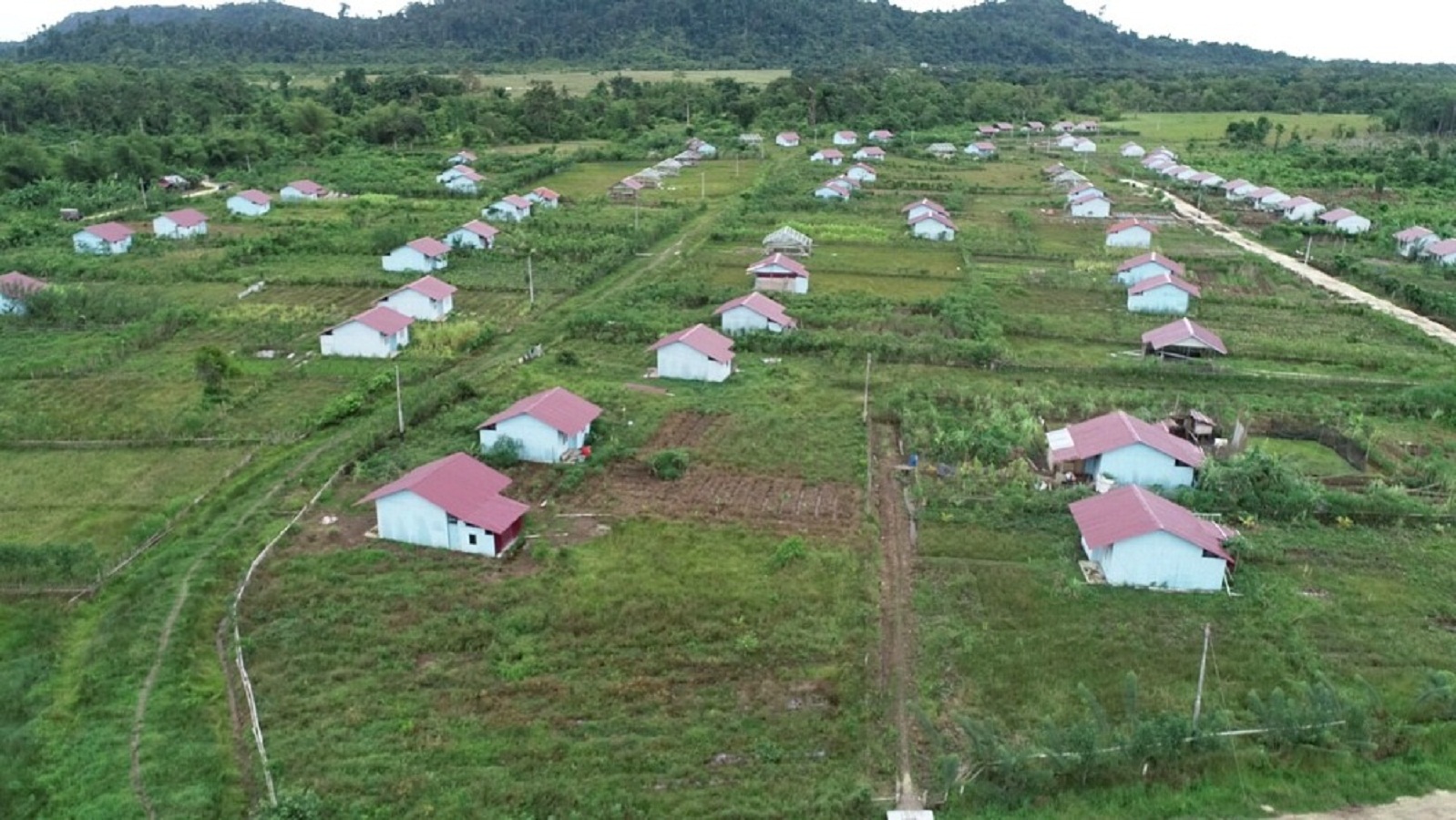 Cetak Sawah Jadi Alasan, Kementrans Gerakkan Transmigrasi...