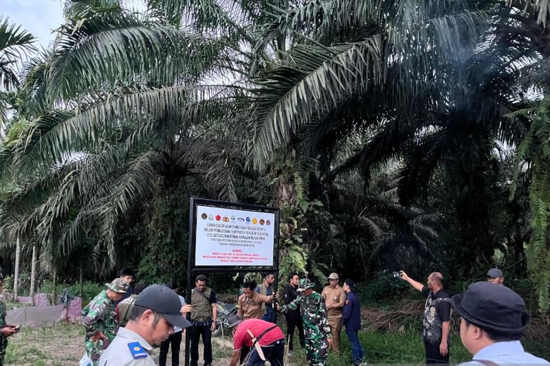 Gambar berita populer Operasi Penertiban Hutan di Pasaman: Satgas PKH dan Kejaksaan Tinggi Sumbar Turun Langsung