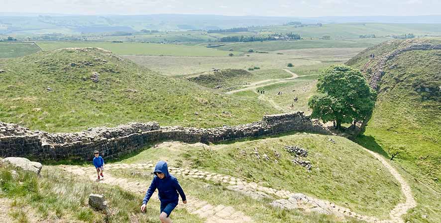 Gambar berita terkait Upaya Bertahan dari Pemberontakan Berulang