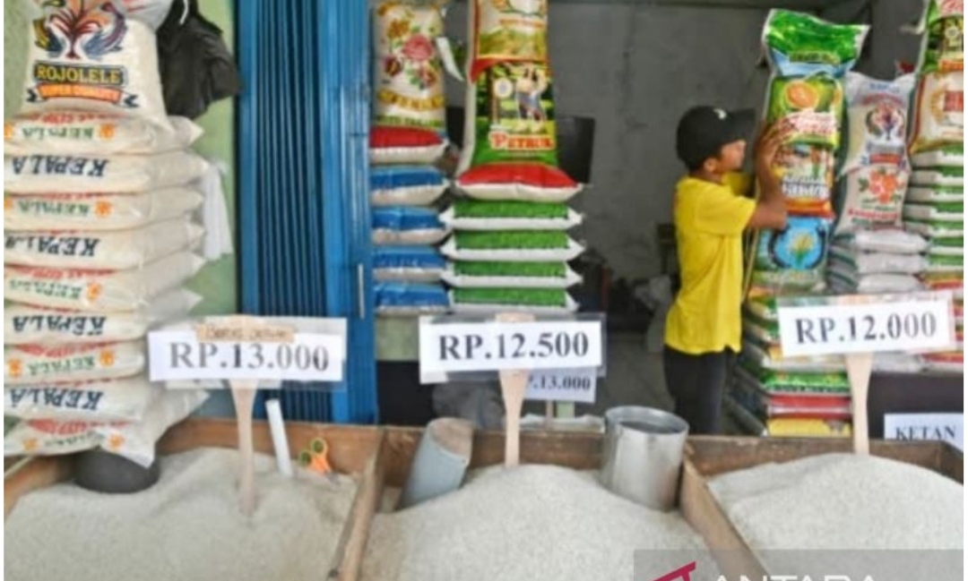 Setelah Beras, Siapa Lagi? Mentan Ancam Bongkar Mafia Pangan Lainnya!