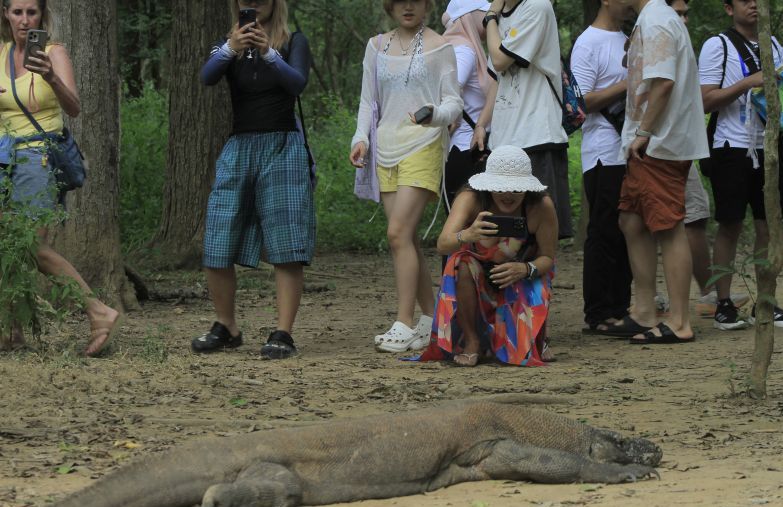 Kemenhut Batasi Turis, Kuota Pulau Padar TN Komodo Diperketat
