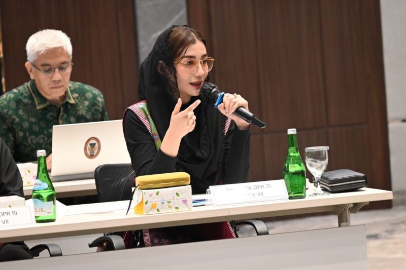 Anggota DPR Tekankan Kehadiran Regulasi Pembagian Royalti Transparan