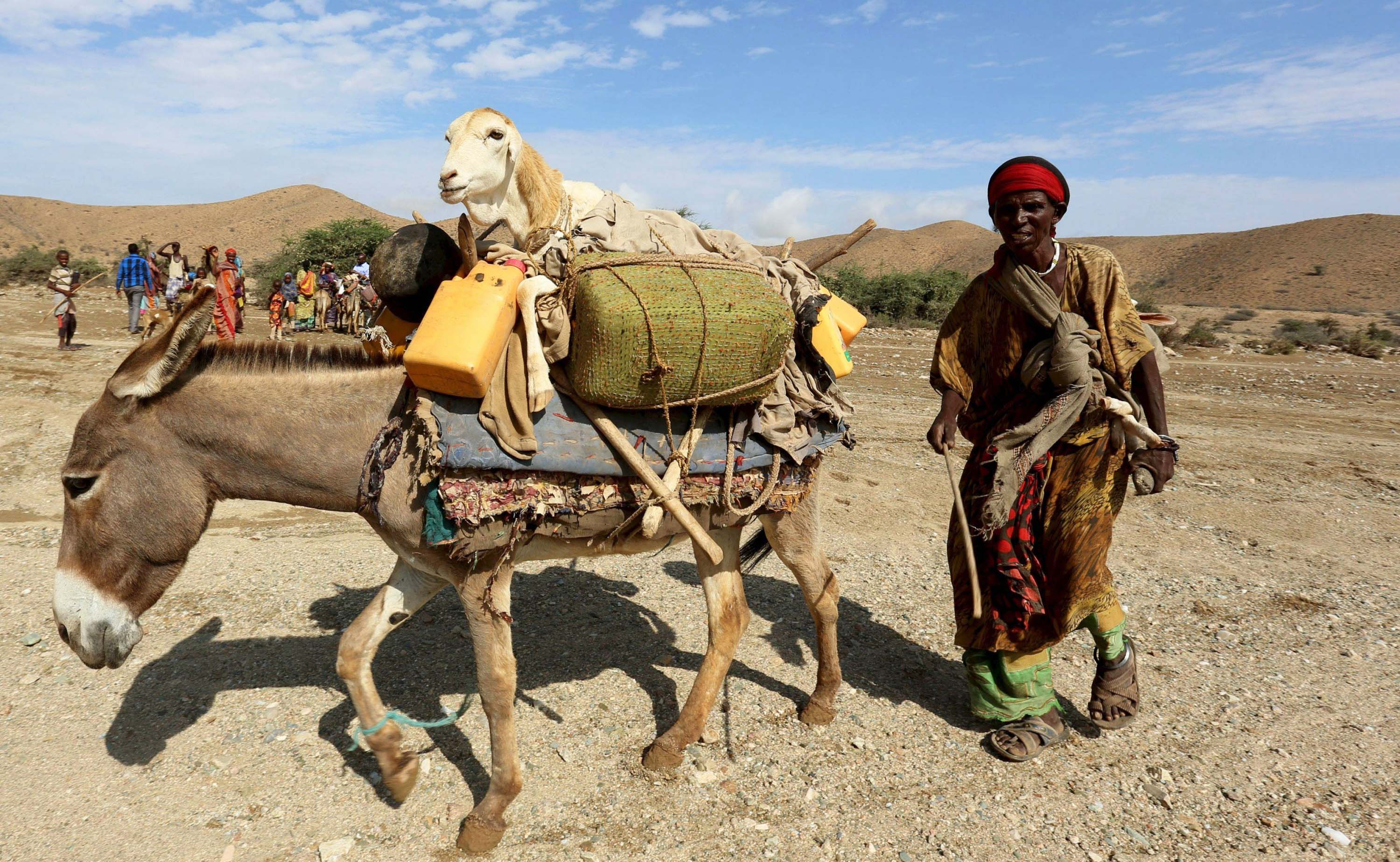 Somalia Dilanda Kekeringan Parah, 880.000 Orang Terdampak
