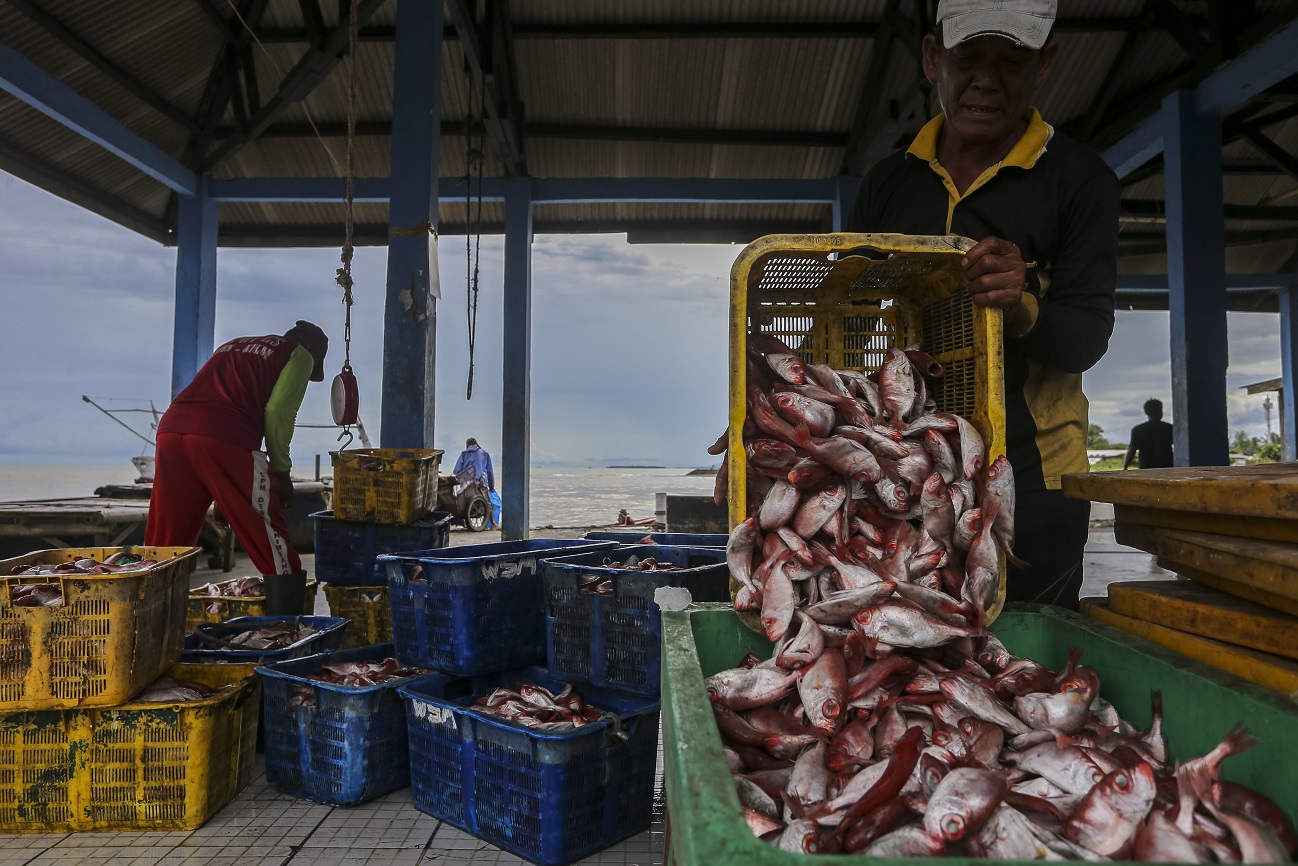Strategi Lautan Jadi Kunci: Bappenas Rilis Dua Peta Jalan Baru Bangun Ekonomi Biru