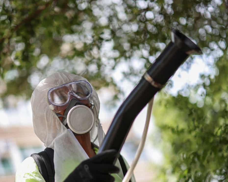 Pengendalian Virus Chikungunya Di Tiongkok Dikhawatirkan ...