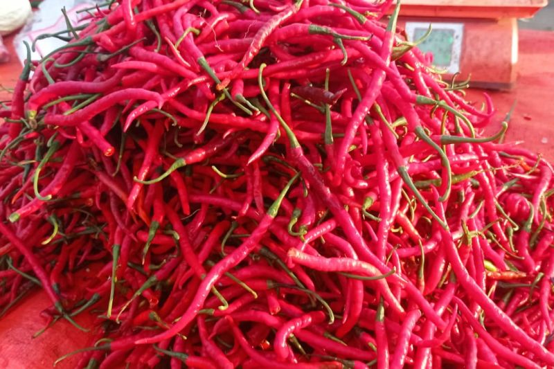 Di Lebak, Harga Cabai Turun, Beras Medium Stabil