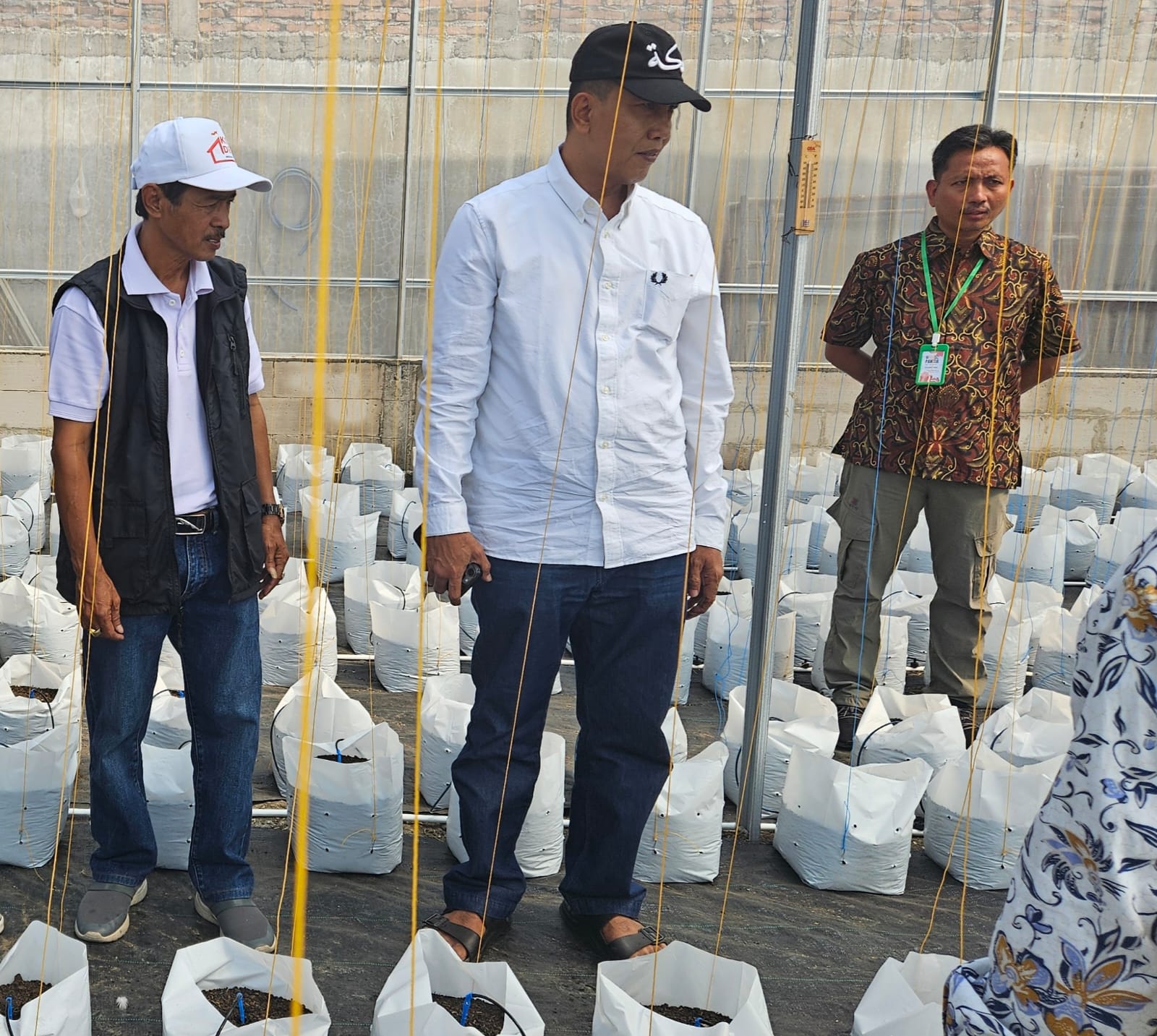 Perkuat Ekonomi Desa, Batursari Demak Resmikan Green House dan Gelar Mentoring UMKM gbr