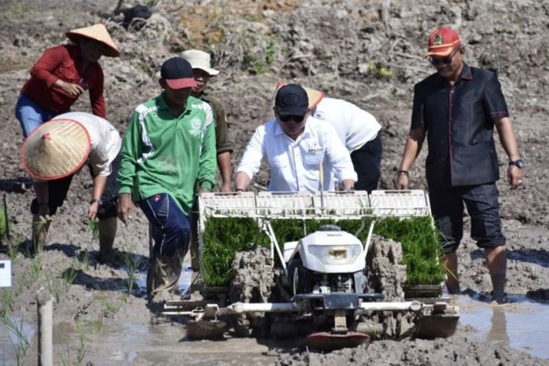 Kapuas Anggarkan Rp50 Miliar untuk Infrastruktur Jalan Penunjang Pertanian