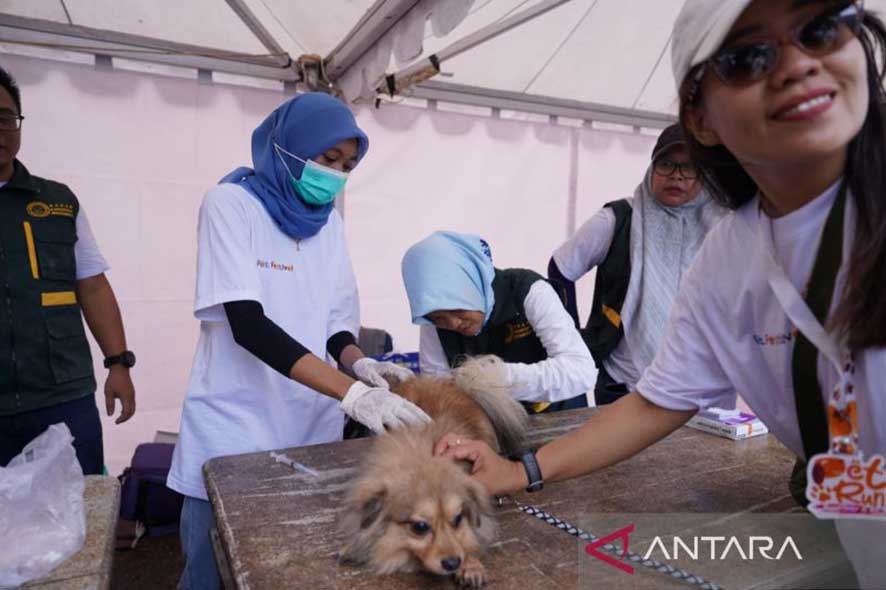 Vaksinasi 200 Hewan Peliharaan untuk Mencegah Penularan Rabies