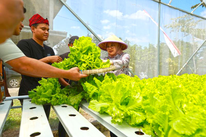 Banyuwangi Dorong Lahirnya Petani Muda Kreatif dan Mandiri