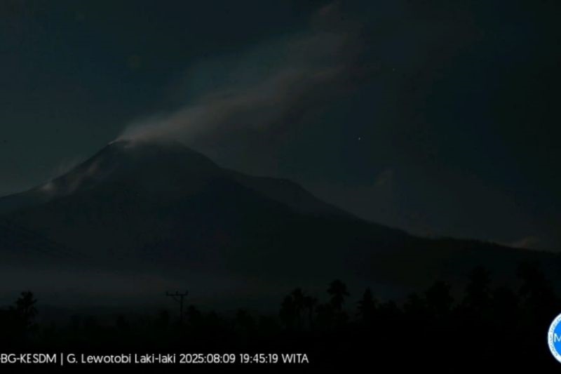 Gunung Lewotobi Laki-laki Erupsi, Lontarkan Abu Setinggi 800 Meter
