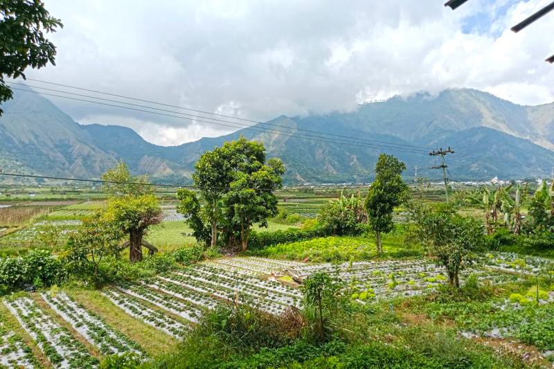 Gaskeun, Gunung Rinjani Kembali Dibuka 11 Agustus 2025