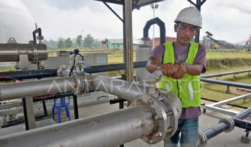 Kaltim Garap Pengembangan Energi Terbarukan dari Limbah Sawit