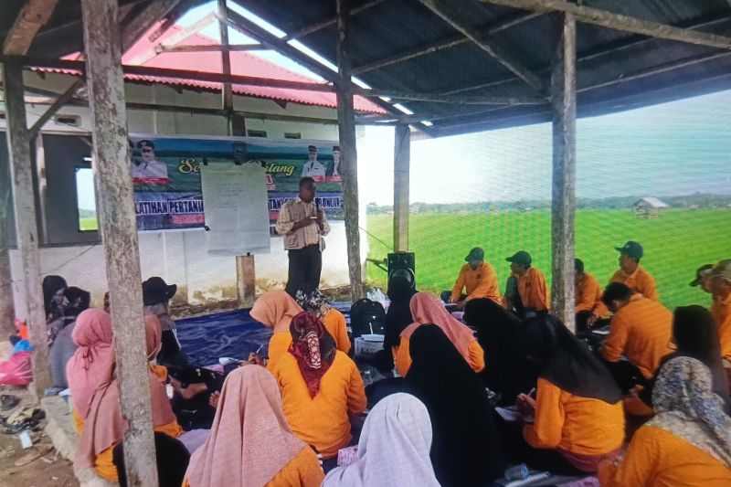 Pasaman Barat Salurkan Dana Desa Rp59,7 Miliar untuk Atasi Kemiskinan dan Ketahanan Pangan