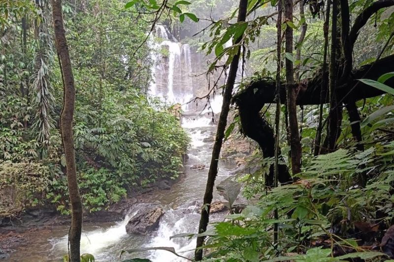 Wujudkan Energi Bersih, PLN Bangun PLTM Kapasitas 1,2 MW di Supiori Papua