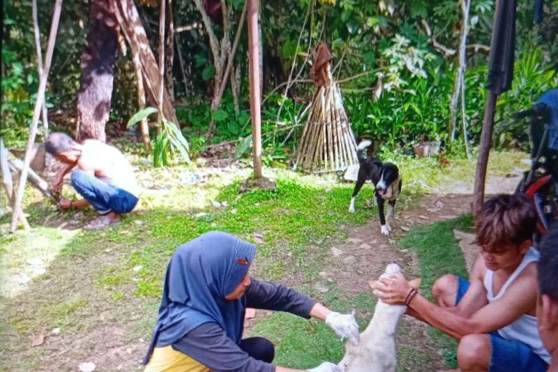 Cegah Rabies, Dinas Pertanian Pasaman Siapkan 1.000 Dosis Vaksin untuk Hewan