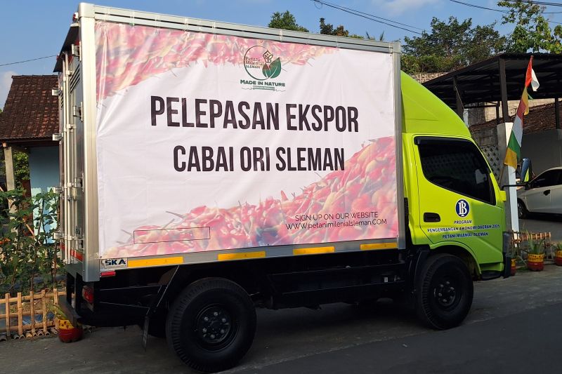 Cabai Rawit Sleman Masuk Jepang, Bukti Milenial Berani Main di Pasar Global