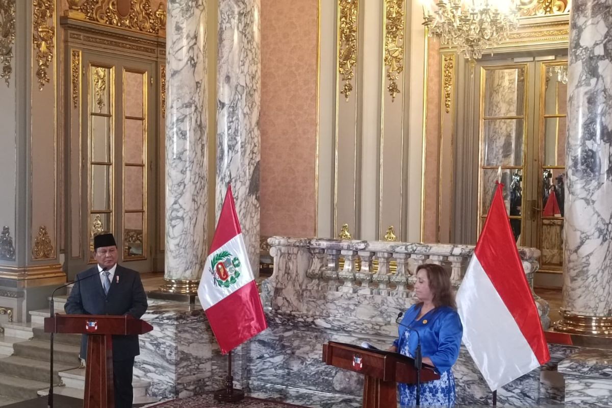 Kunjungan Presiden Peru Dina Boluarte untuk 50 Tahun Hubungan Diplomatik, atau Ada Maksud Lain?