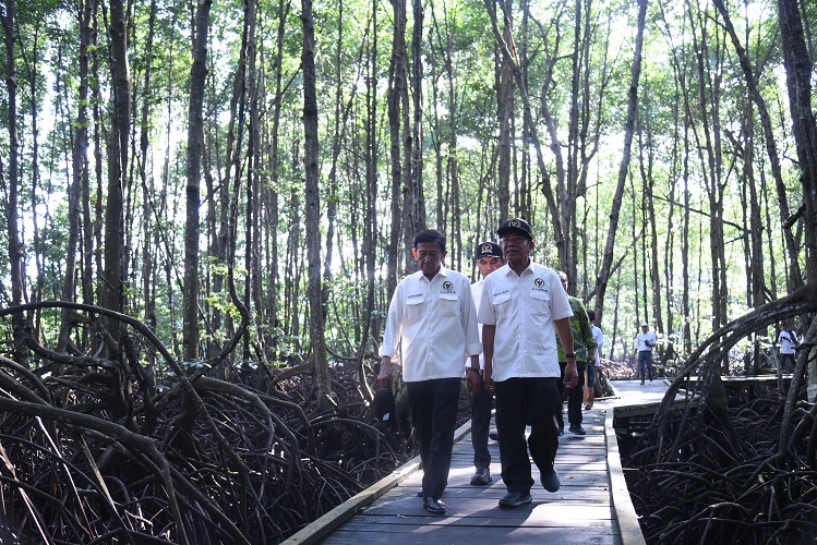 DPR: Pengelolaan Kawasan Hutan Seluas 12,5 Juta Hektare di Kaltim akan Dikelola Berkelanjutan