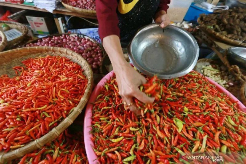 Bapanas: Harga Cabai Rawit Rp43.879/Kg, Bawang Merah Rp47.008/Kg