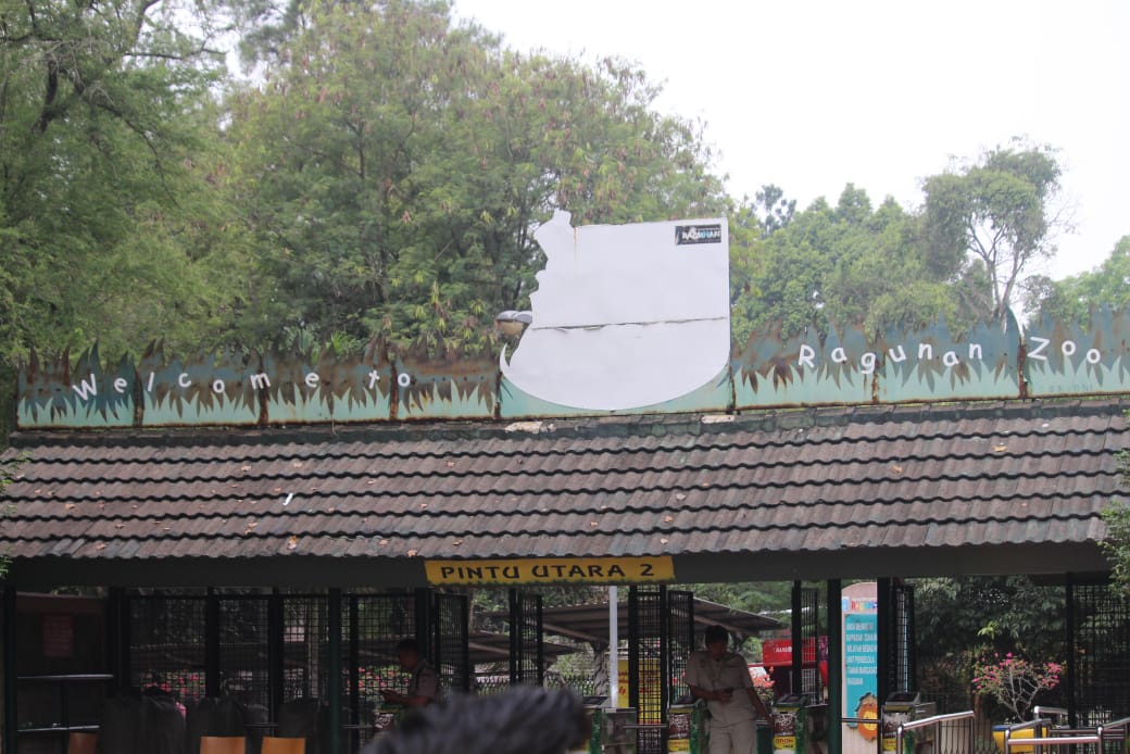 Pramono Anung Tegaskan Mobil Tak Boleh Lagi Masuk Kawasan Ragunan
