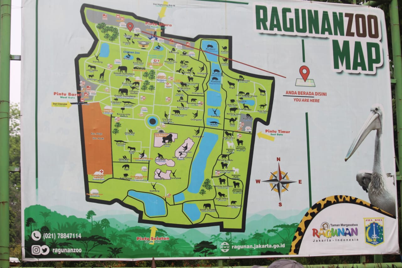 Gubernur Pramono Anung Tinjau Ragunan, Minta Perbaikan Fasilitas Wisata