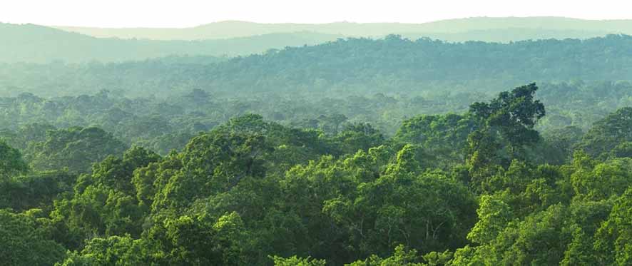 Kayan Mentarang, Rimba Tropis nan Asri di Jantung Borneo gbr