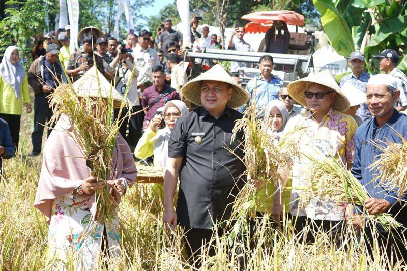 Makassar Optimalkan Lahan Sempit untuk Pertanian
