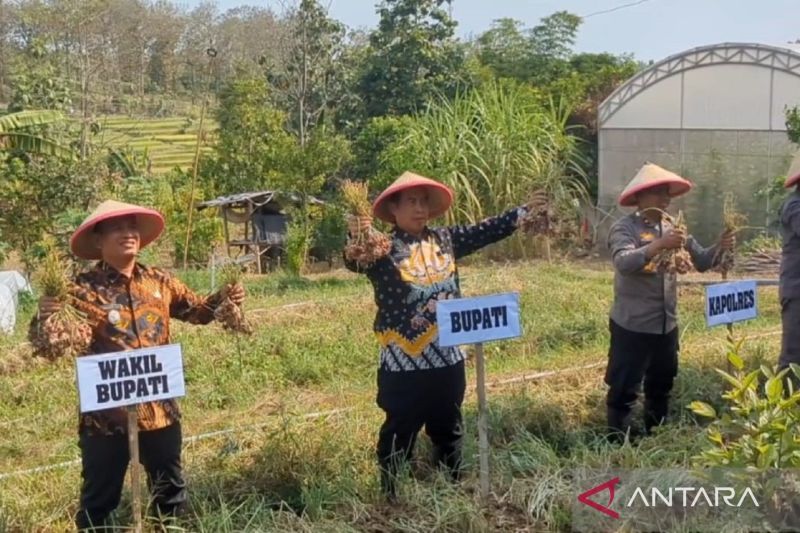 Pemkab Madiun Minta Petani Budi Daya Bawang Merah guna Tekan Inflasi