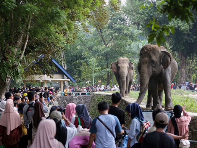 Pemprov DKI: Tiket Masuk Wisata bagi Lansia, Penyandang Disabilitas dan Pemegang KJP Digratiskan
