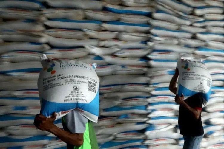 Mentan: Pemerintah Jamin Ketersediaan Stok Pupuk Subsidi untuk Petani Aman
