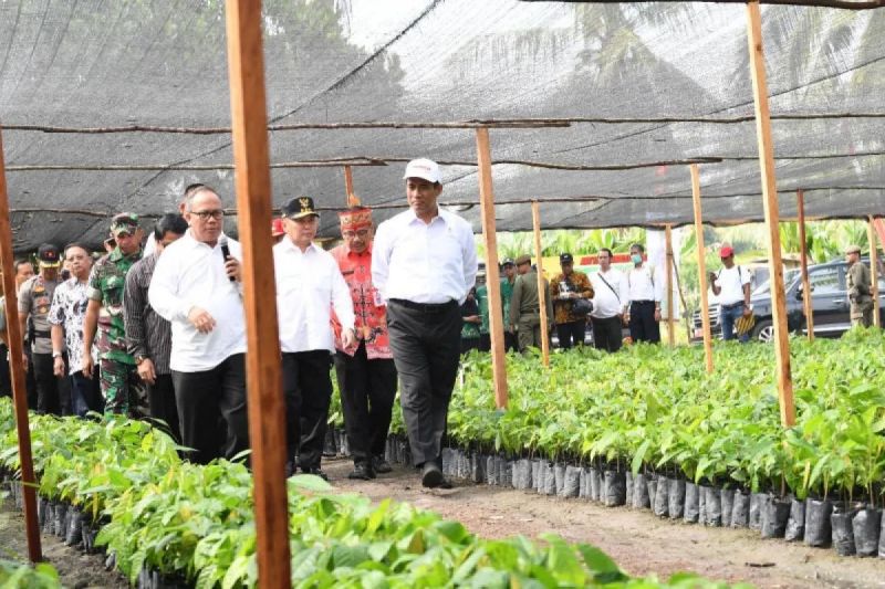 Kementan Siap Memperbaiki Pengelolaan Pemasukan dan Pengeluaran Benih Tanaman