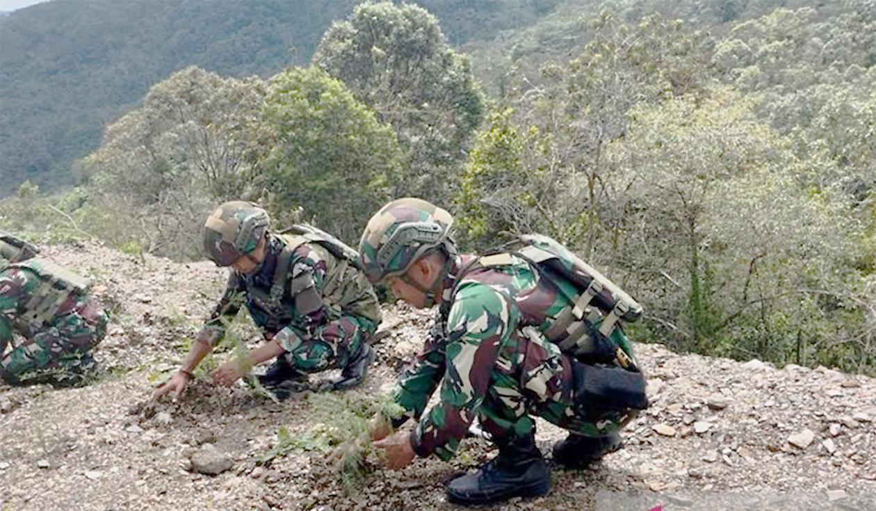 Menanam Pohon untuk Memulihkan Alam Papua yang Lestari