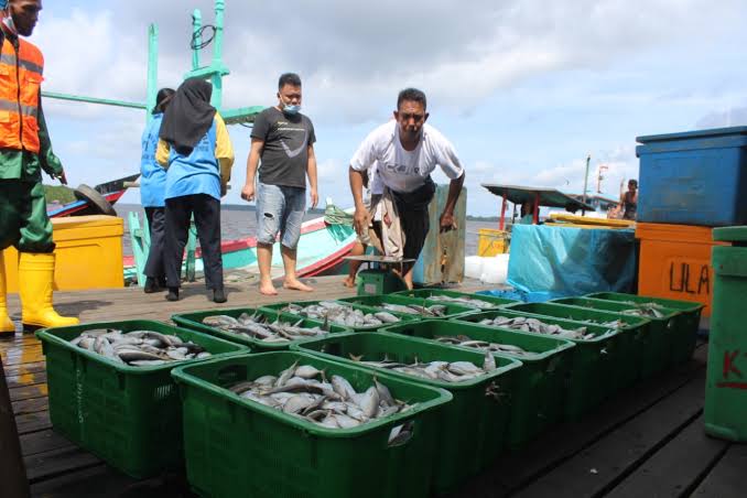Pantau Implementasi Program KNMP, KKP Terapkan Pengawasan Bertingkat