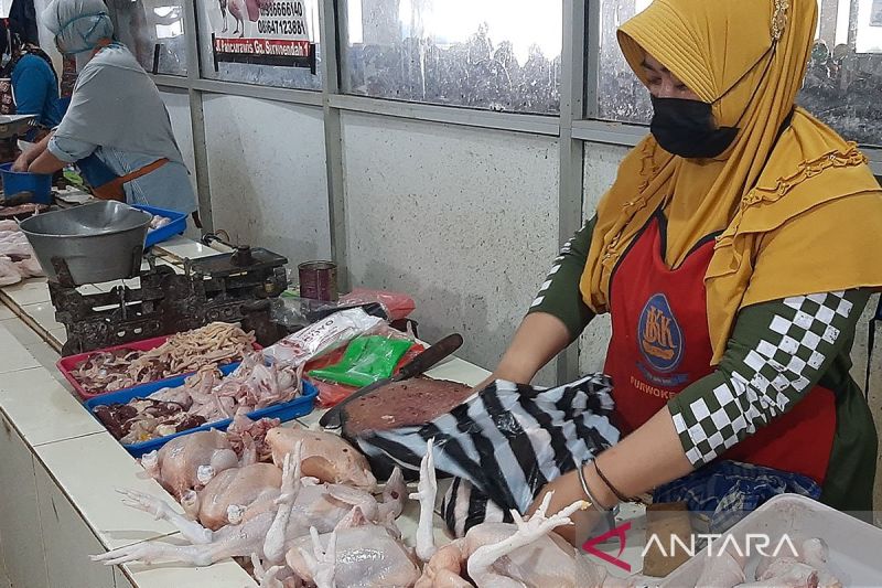 Pemda Wajib Atur Inflasi Daerah Sebelum Terlambat!